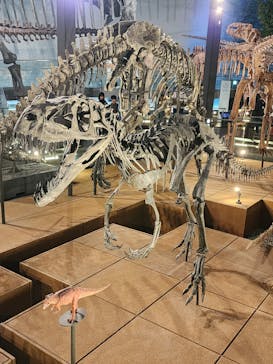 福井県立恐竜博物館に投稿された画像（2024/4/20）