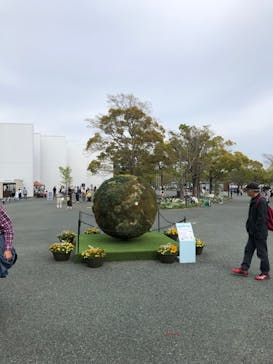 浜名湖花博2024に投稿された画像（2024/4/20）