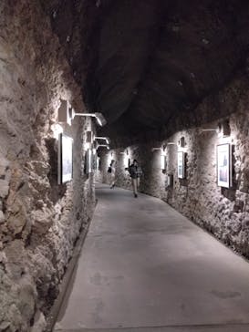 江の島1dayに投稿された画像（2024/4/20）