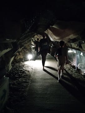 江の島1dayに投稿された画像（2024/4/20）