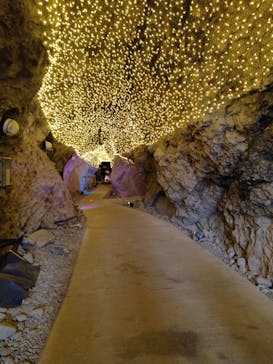 江の島1dayに投稿された画像（2024/4/20）