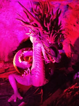 江の島1dayに投稿された画像（2024/4/20）