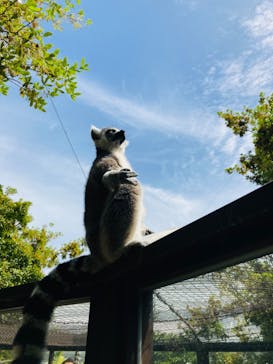 神戸どうぶつ王国に投稿された画像（2024/4/20）