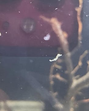 京都水族館に投稿された画像（2024/4/20）