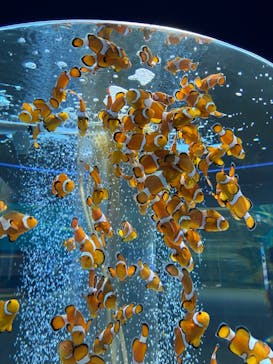 鴨川シーワールドに投稿された画像（2024/4/20）