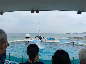 鴨川シーワールドに投稿された画像（2024/4/20）