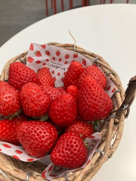 ニューベリーに投稿された画像（2024/4/20）