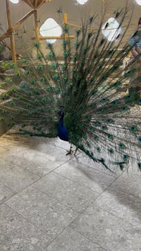 NIFREL（ニフレル）に投稿された画像（2024/4/20）