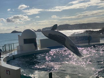 鴨川シーワールドに投稿された画像（2024/4/20）