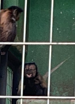 千葉市動物公園に投稿された画像（2024/4/20）