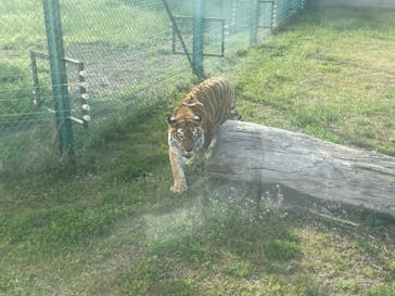 岩手サファリパークに投稿された画像（2024/4/20）