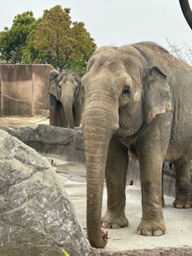 日立市かみね動物園に投稿された画像（2024/4/20）