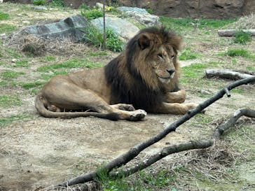 日立市かみね動物園に投稿された画像（2024/4/20）