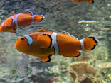 サンシャイン水族館に投稿された画像（2024/4/20）