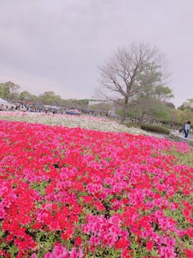 浜名湖花博2024に投稿された画像（2024/4/20）