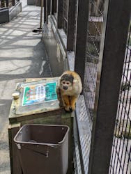 伊豆シャボテン動物公園に投稿された画像（2024/4/20）
