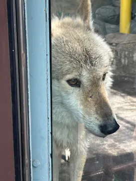 天王寺動物園に投稿された画像（2024/4/20）
