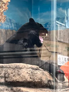 天王寺動物園に投稿された画像（2024/4/20）