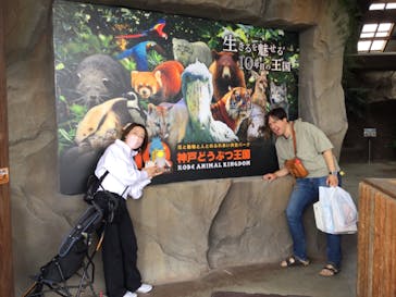 神戸どうぶつ王国に投稿された画像（2024/4/20）