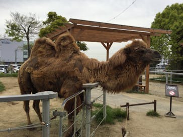 神戸どうぶつ王国に投稿された画像（2024/4/20）