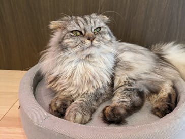 つくばわんわんランドに投稿された画像（2024/4/20）