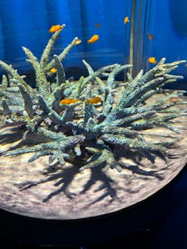 NIFREL（ニフレル）に投稿された画像（2024/4/20）