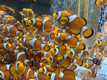 鴨川シーワールドに投稿された画像（2024/4/20）