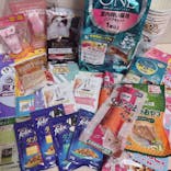 猫好きさんの祭典「にゃんだらけ20」に投稿された画像（2024/4/20）