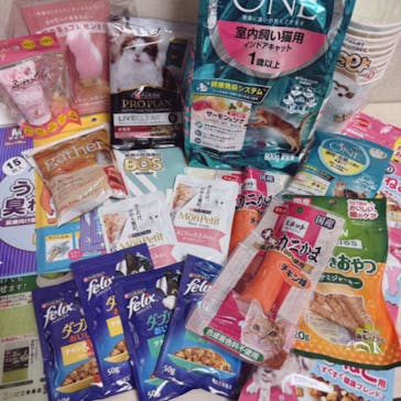 猫好きさんの祭典「にゃんだらけ19」に投稿された画像（2024/4/20）