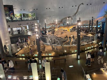 福井県立恐竜博物館に投稿された画像（2024/4/20）