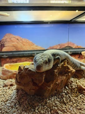 NARA IKIMONO MUSEUMに投稿された画像（2024/4/20）