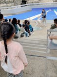 大分マリーンパレス水族館 「うみたまご」に投稿された画像（2024/4/20）