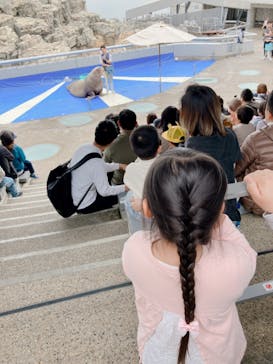 大分マリーンパレス水族館 「うみたまご」に投稿された画像（2024/4/20）