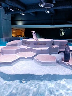 AOAO SAPPOROに投稿された画像（2024/4/20）