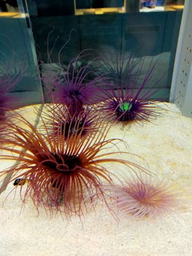 AOAO SAPPOROに投稿された画像（2024/4/20）