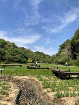 浜名湖花博2024に投稿された画像（2024/4/20）