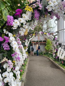 浜名湖花博2024に投稿された画像（2024/4/20）