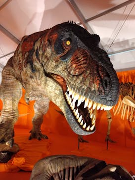 オダイバ恐竜博覧会2024 -福井から“ヤツラ”が新幹線でやってくる！-に投稿された画像（2024/4/20）