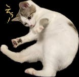 アソビュー！ポイントに投稿された画像（2024/4/20）