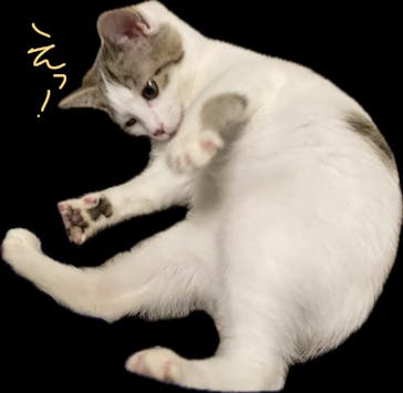 アソビュー！ポイントに投稿された画像（2024/4/20）