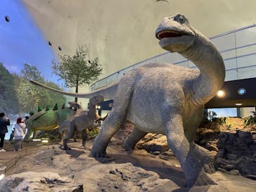 福井県立恐竜博物館に投稿された画像（2024/4/20）