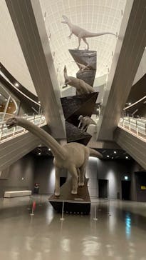 福井県立恐竜博物館に投稿された画像（2024/4/20）