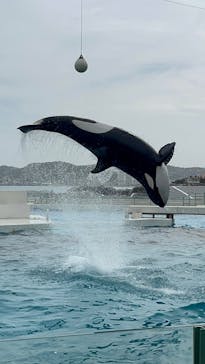 鴨川シーワールドに投稿された画像（2024/4/20）