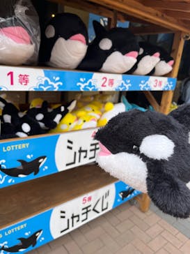 鴨川シーワールドに投稿された画像（2024/4/20）