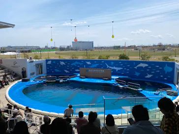 仙台うみの杜水族館に投稿された画像（2024/4/20）