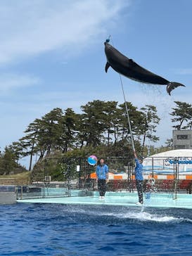 越前松島水族館に投稿された画像（2024/4/20）