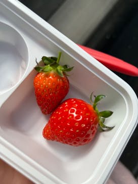 町田いちご狩り農園に投稿された画像（2024/4/20）