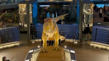 福井県立恐竜博物館に投稿された画像（2024/4/20）