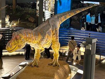 福井県立恐竜博物館に投稿された画像（2024/4/20）