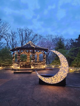 修善寺虹の郷に投稿された画像（2024/4/20）